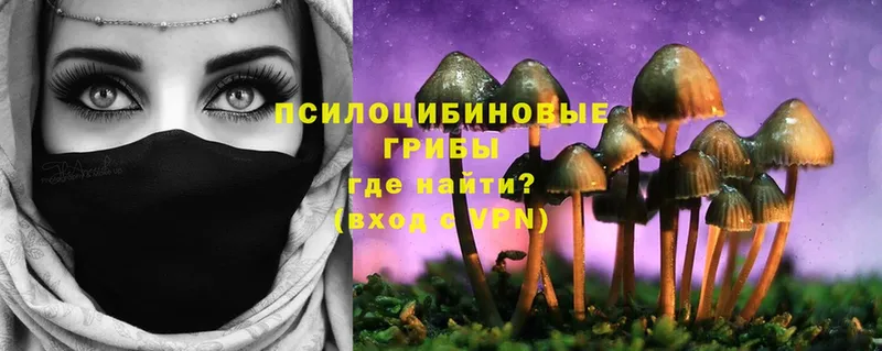 Псилоцибиновые грибы Psilocybine cubensis  наркота  Хабаровск 